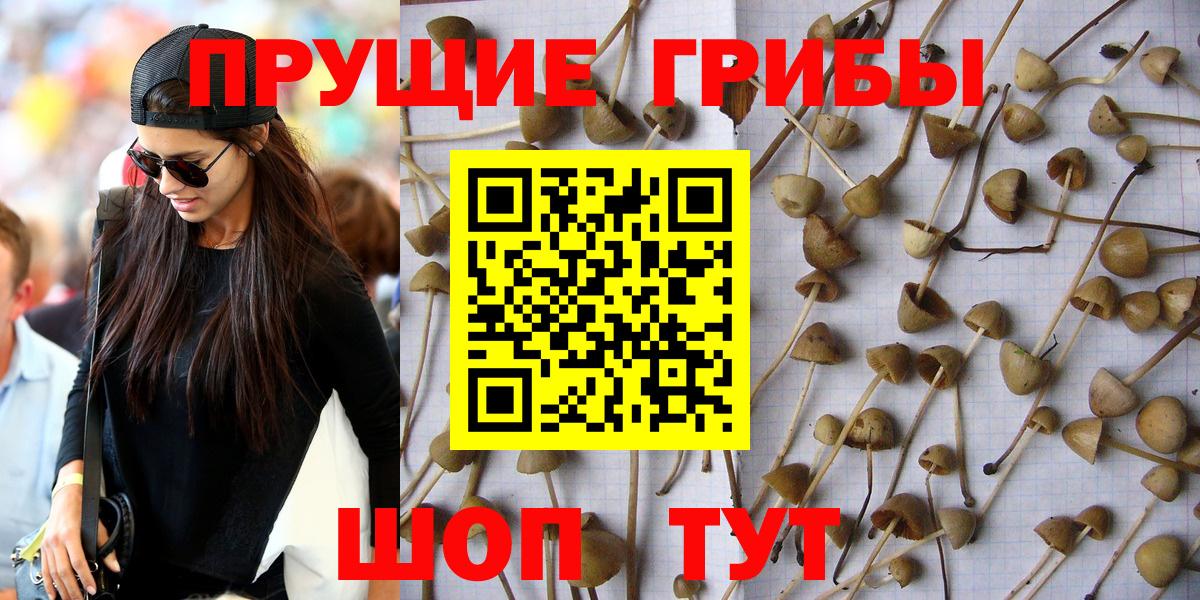 Псилоцибиновые грибы прущие грибы  Вход с VPN  Саранск 