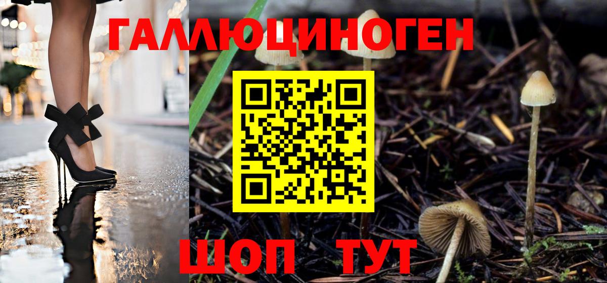 Псилоцибиновые грибы Cubensis Саранск